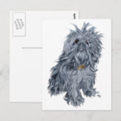 Brüsseler Griffon Postkarte (Vorne/Hinten)