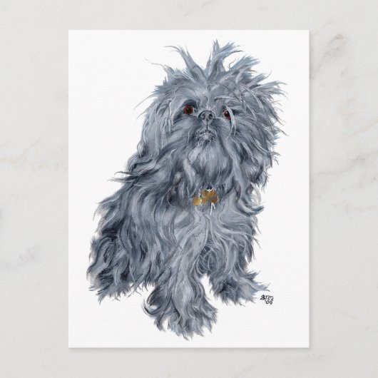 Brüsseler Griffon Postkarte (Vorderseite)