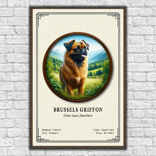 Brüsseler Griffon Zoologie-Serie Poster