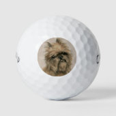 Brussels Griffon Golfball (Vorderseite)