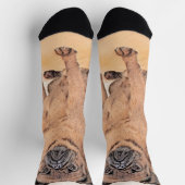 Brussels Griffon Smooth Painting Original Dog Art Socken (Oben)