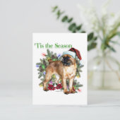 Brussels Griffon Tis the Season Postkarte (Stehend Vorderseite)