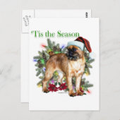 Brussels Griffon Tis the Season Postkarte (Vorne/Hinten)