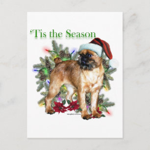 Brussels Griffon Tis the Season Postkarte