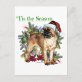 Brussels Griffon Tis the Season Postkarte (Vorderseite)