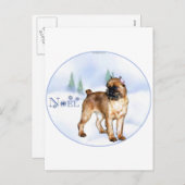 Brussels Griffon Weihnachten (Vorne/Hinten)