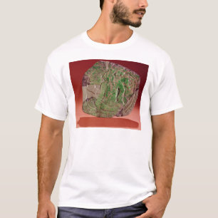Brust eines Königs von Tikal Standort, Guatemala T-Shirt