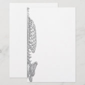 Brustkorb-Briefpapier Briefpapier (Vorne/Hinten)