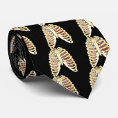 Brustkorb-Lungen u. Herz Krawatte (Gerollt)