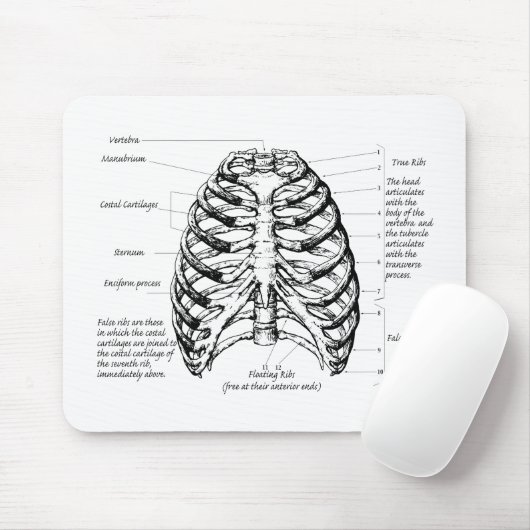 Brustkorb Mousepad (Mit Mouse)