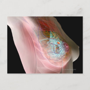 Brustkrebs Postkarte