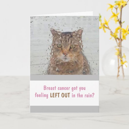 Brustkrebskatze in der Regenkarte Karte (Gelbe Blume)