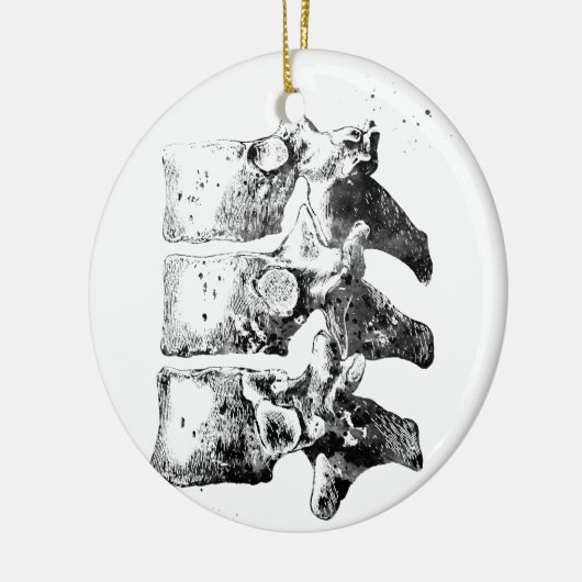 Brustwirbel Keramik Ornament (Links)