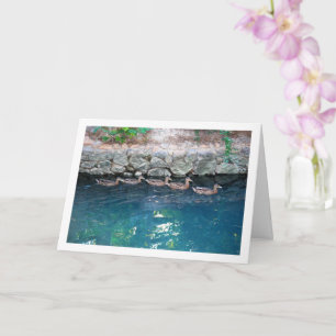 Brut von Enten in majestätischem blauen Wasser Karte