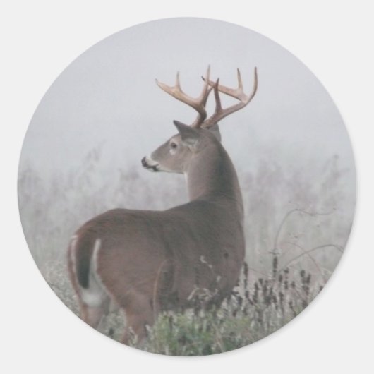 Brutalität Runder Aufkleber (Vorderseite)