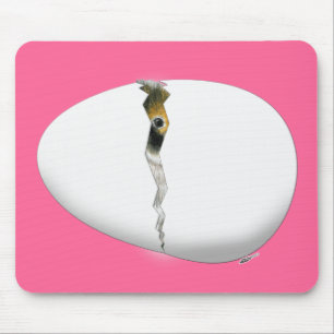 Bruteier Mousepad