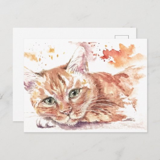 Brutkatze Postkarte (Vorne/Hinten)