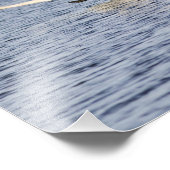 Brutpaar Tundra-Schwäne starten für Fotodruck (Ecke)