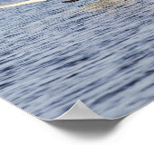 Brutpaar Tundra-Schwäne starten für Poster (Ecke)
