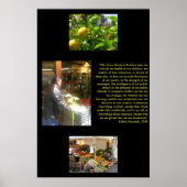 Bruttosozialprodukt Poster (Vorne)