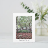 Bryant Park, New York Post Karte (Stehend Vorderseite)