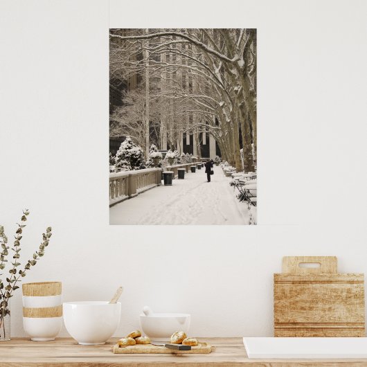 Bryant Park Snow Poster (Küche)