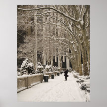Bryant Park Snow
