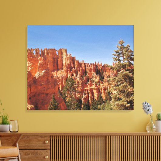 Bryce Amphitheater Leinwanddruck (Insitu (Wohnzimmer))