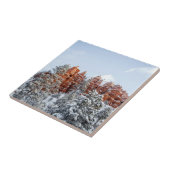 Bryce Canyon Fliese (Seite)