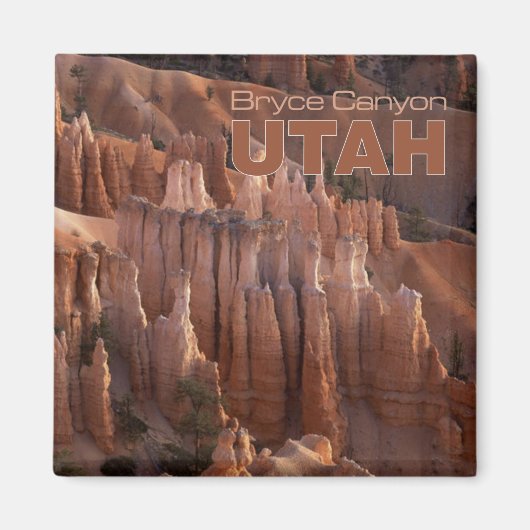 Bryce Canyon Foto Utah Souvenir Kühlschrankmagnete Magnet (Vorne)