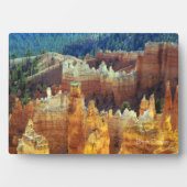 Bryce Canyon Fotoplatte (Vorderseite)