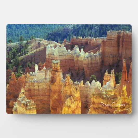 Bryce Canyon Fotoplatte (Vorderseite)