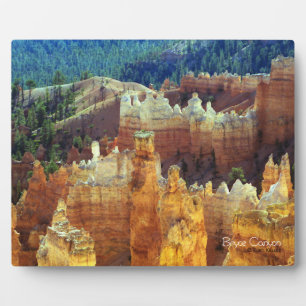 Bryce Canyon Fotoplatte