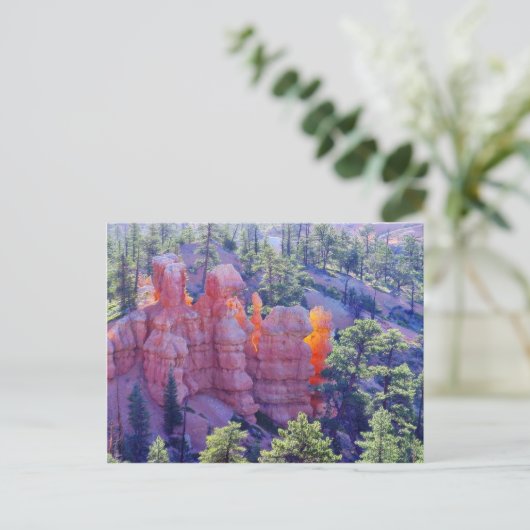Bryce Canyon Glows Postkarte (Stehend Vorderseite)