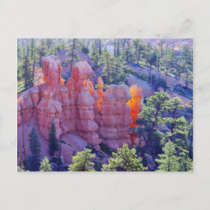 Bryce Canyon Glows Postkarte