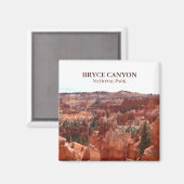 Bryce Canyon National Park Magnet (Vorderseite/Rückseite)