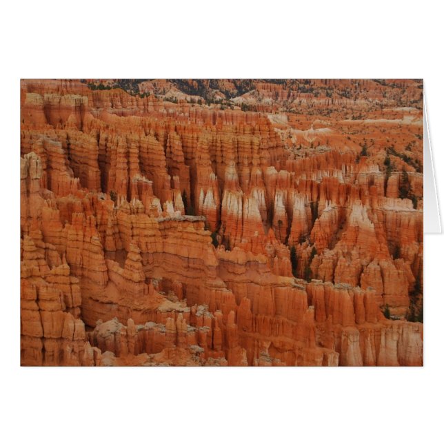 Bryce Canyon National Park, Utah, Card (Vorderseite (Horizontal))