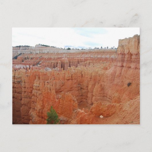 Bryce Canyon National Park, Utah, Postcard Postkarte (Vorderseite)