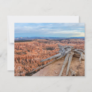 Bryce Canyon Nationalpark bei Sunrise Postkarte