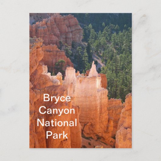 Bryce Canyon Nationalpark Delicate Hoodoos Postkarte (Vorderseite)