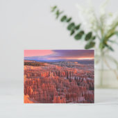 Bryce Canyon Nationalpark Foto Postkarte (Stehend Vorderseite)