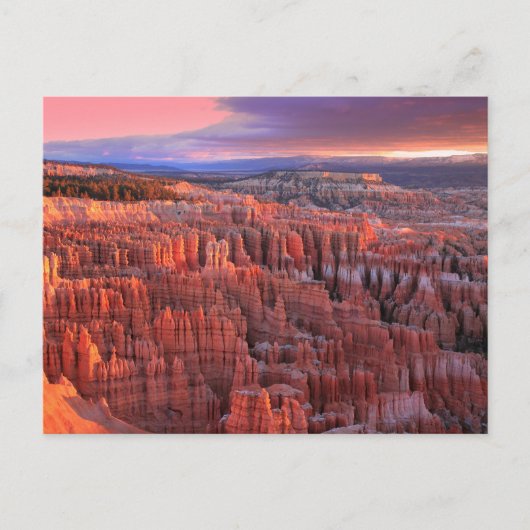 Bryce Canyon Nationalpark Foto Postkarte (Vorderseite)