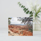 Bryce Canyon Nationalpark Hoodoos Postkarte (Stehend Vorderseite)