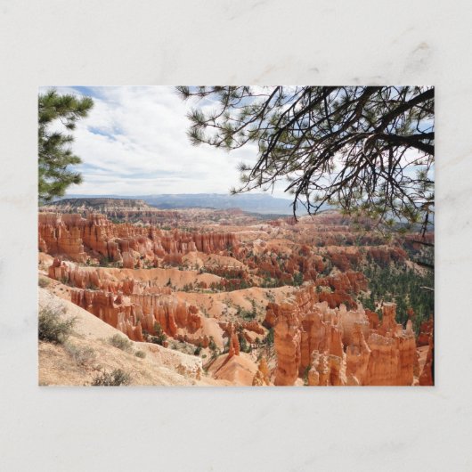 Bryce Canyon Nationalpark Hoodoos Postkarte (Vorderseite)