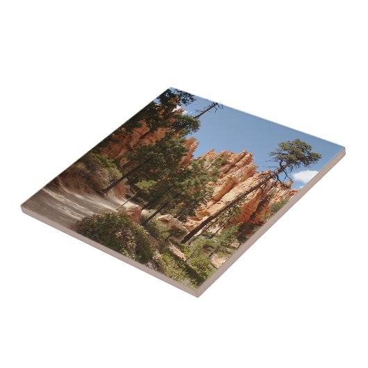 Bryce Canyon Nationalparkroute Fliese (Seite)