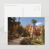 Bryce Canyon Nationalparkroute Postkarte (Vorne/Hinten)