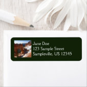 Bryce Canyon Natural Bridge Snowy Landscape Foto (Insitu)