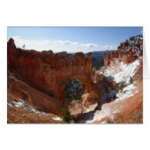 Bryce Canyon Natural Bridge Snowy Landscape Foto (Vorderseite (Horizontal))