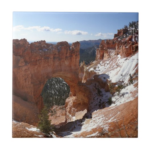Bryce Canyon Natural Bridge Snowy Landscape Foto Fliese (Vorderseite)