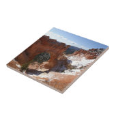 Bryce Canyon Natural Bridge Snowy Landscape Foto Fliese (Seite)